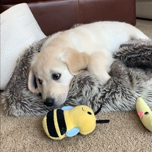 Meet your Posher, Lexi